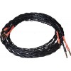 Кабель Amphion Speaker Cable Banana - Banana (2.5 м, черный)