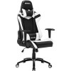 Кресло Raidmax DK606RU (черный/белый)