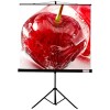 Проекционный экран ViewScreen Clamp Pro 203x203 [TCP-1104]